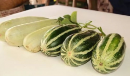 各种网红爆料吃瓜在线观看,揭秘娱乐圈幕后故事